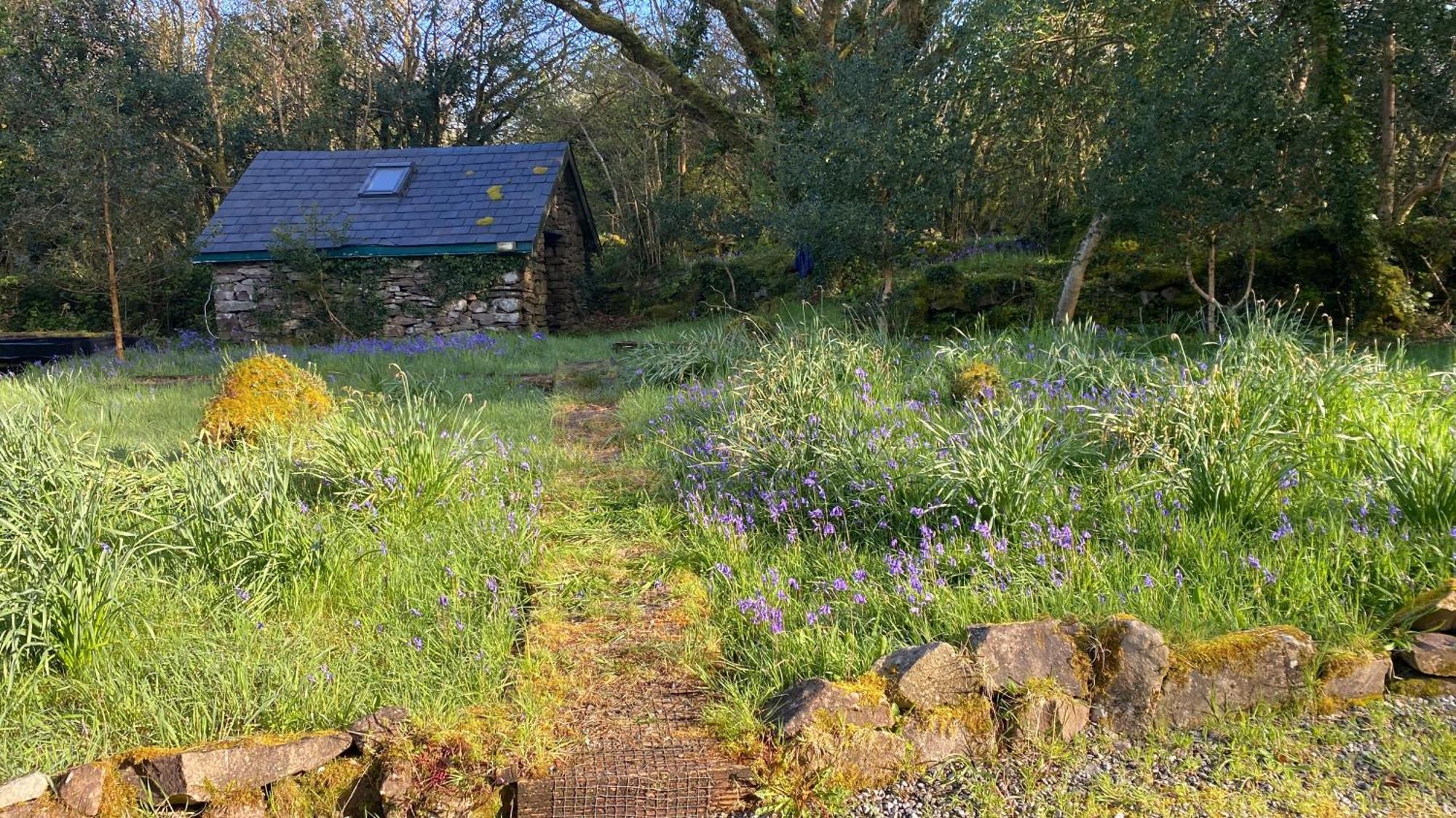 Sligo Forest Retreat Esterno foto