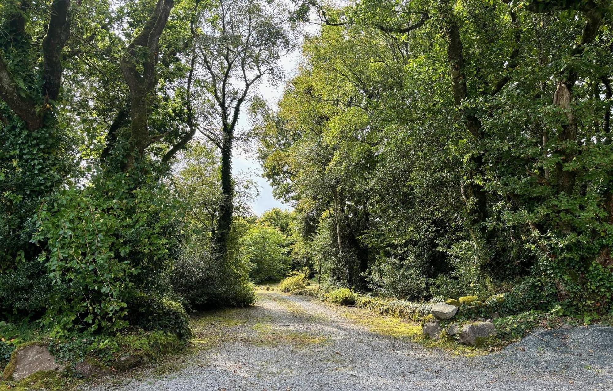 Sligo Forest Retreat Esterno foto